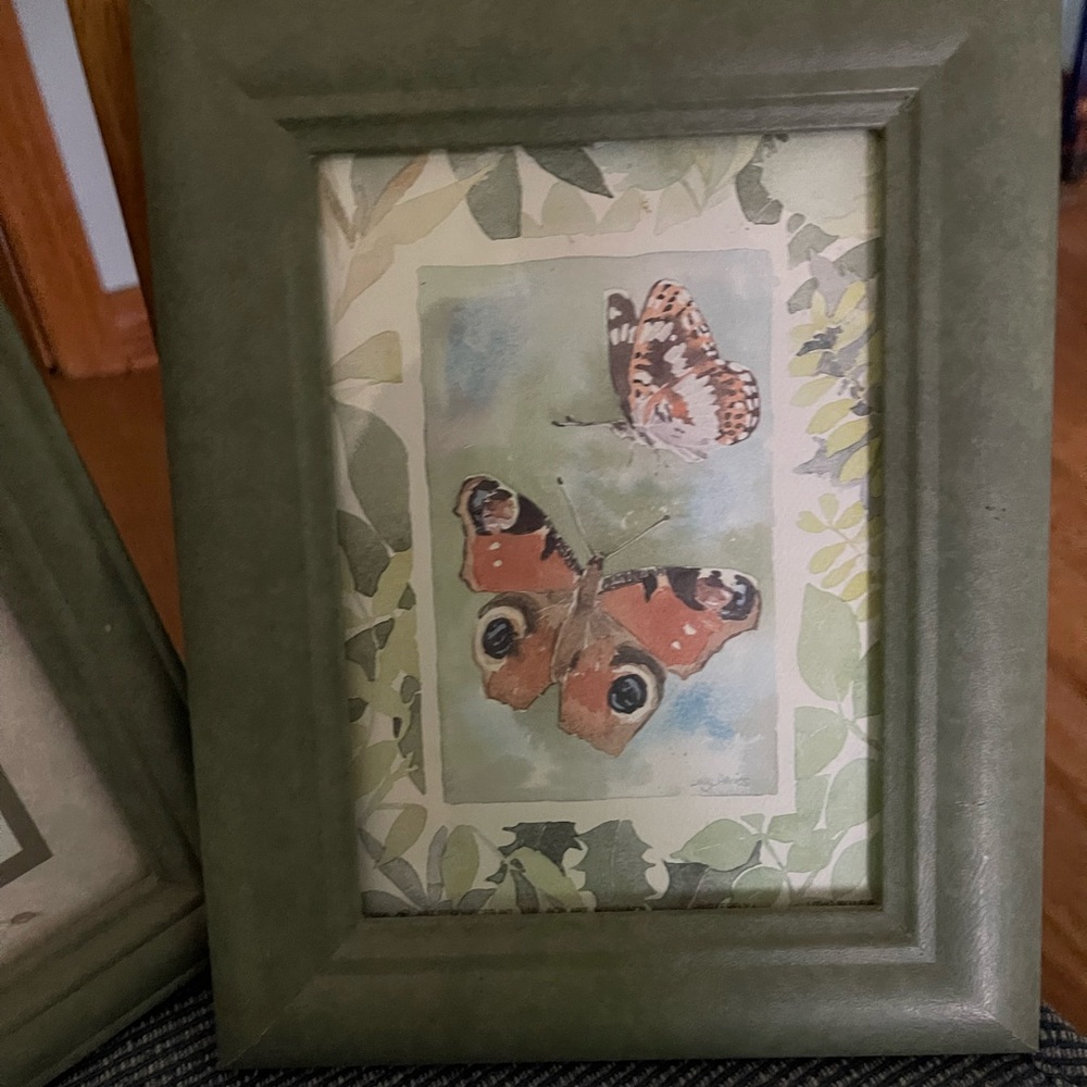 Green Framed Butterfly Art Print - Picture 2 of 2